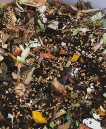 有機廃棄物資源化